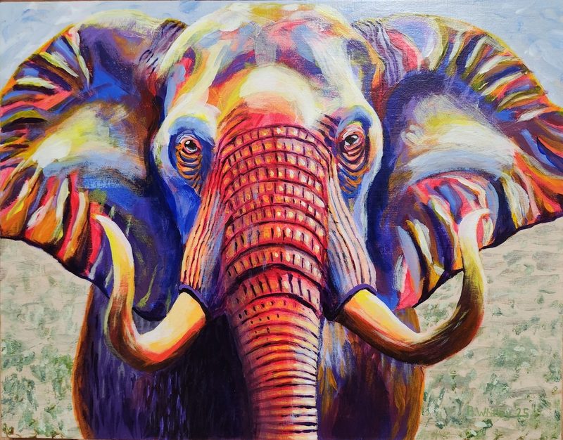 Elephant