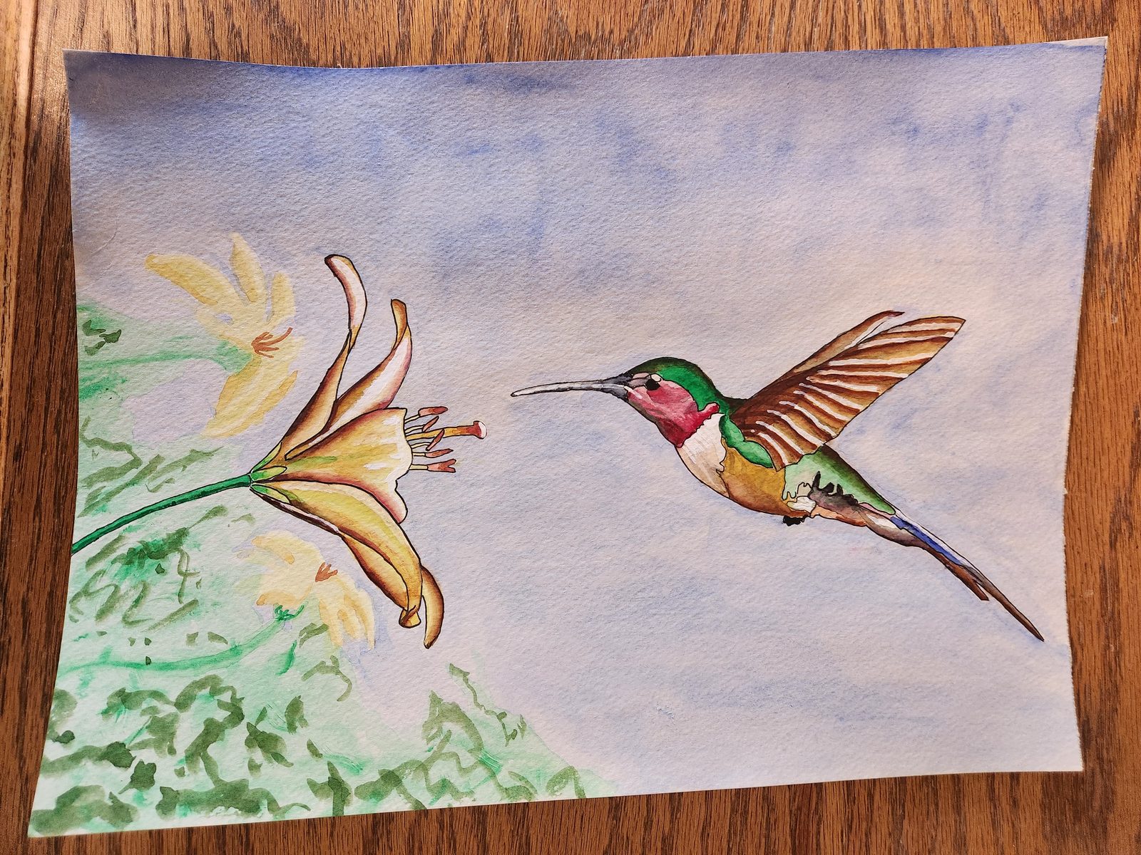 Hummingbird and Lily