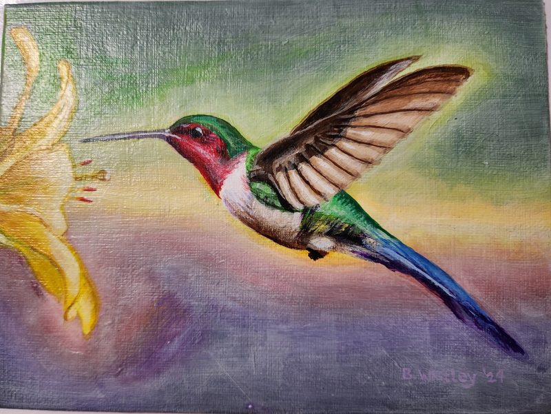 Hummingbird in Flight