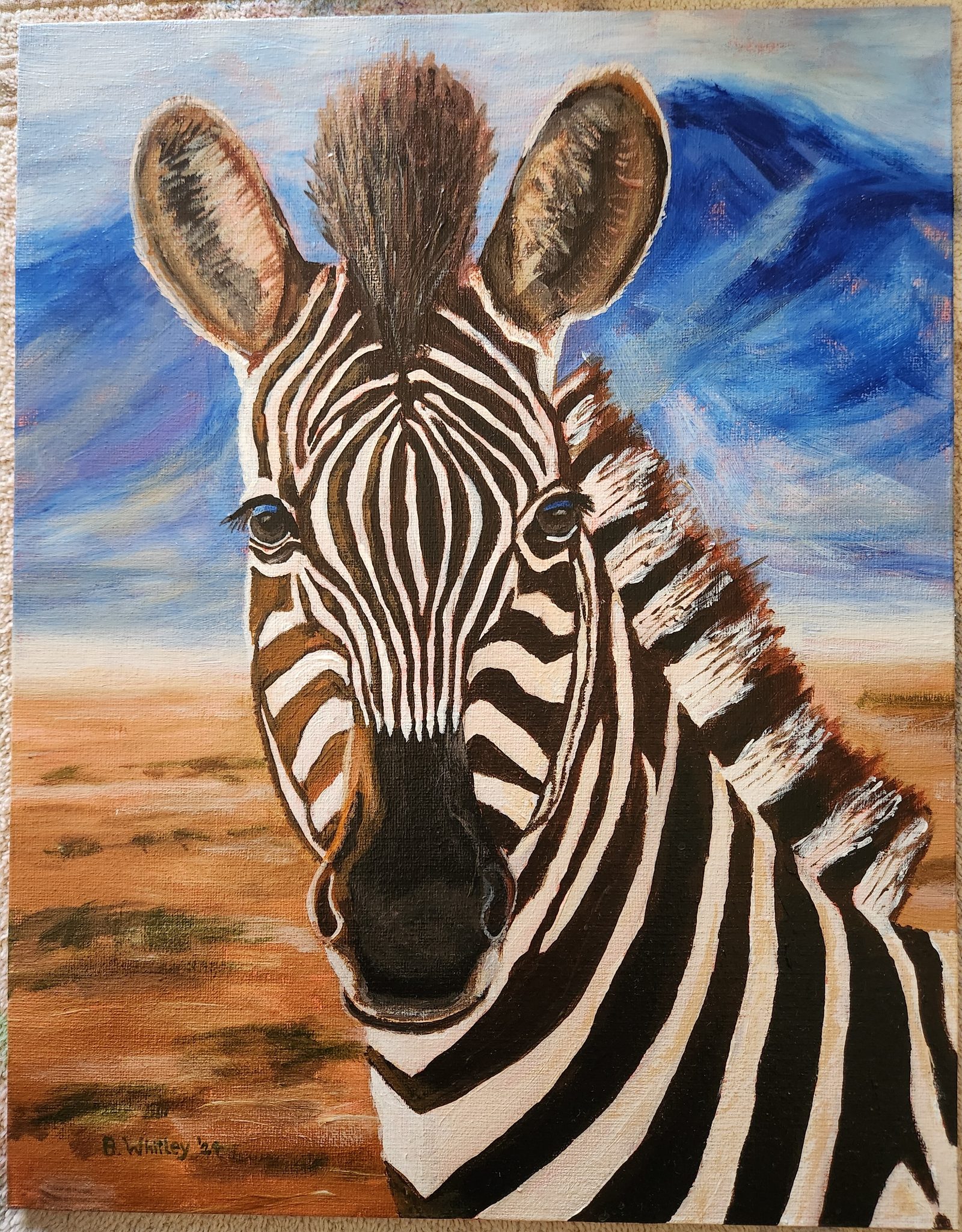 Zebra